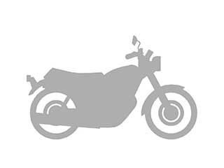 BMW BMW G310GS